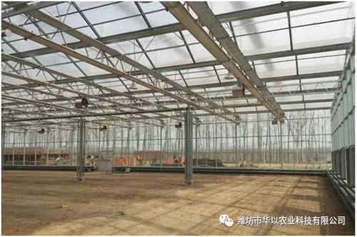 文洛型玻璃溫室地基施工核心要點與注意事項